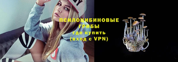 МДПВ Абаза
