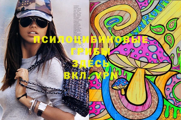 МДПВ Абаза