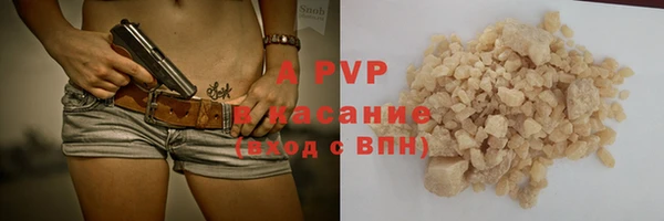 индика Покачи