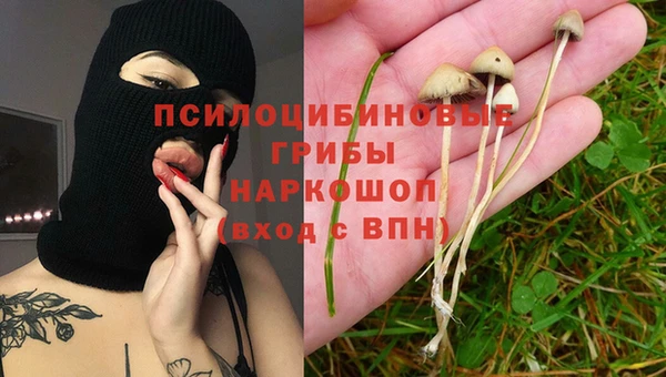 гидропоника Покровск