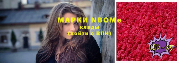 индика Покачи