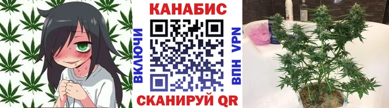 Каннабис Ganja  блэк спрут вход  Костомукша 